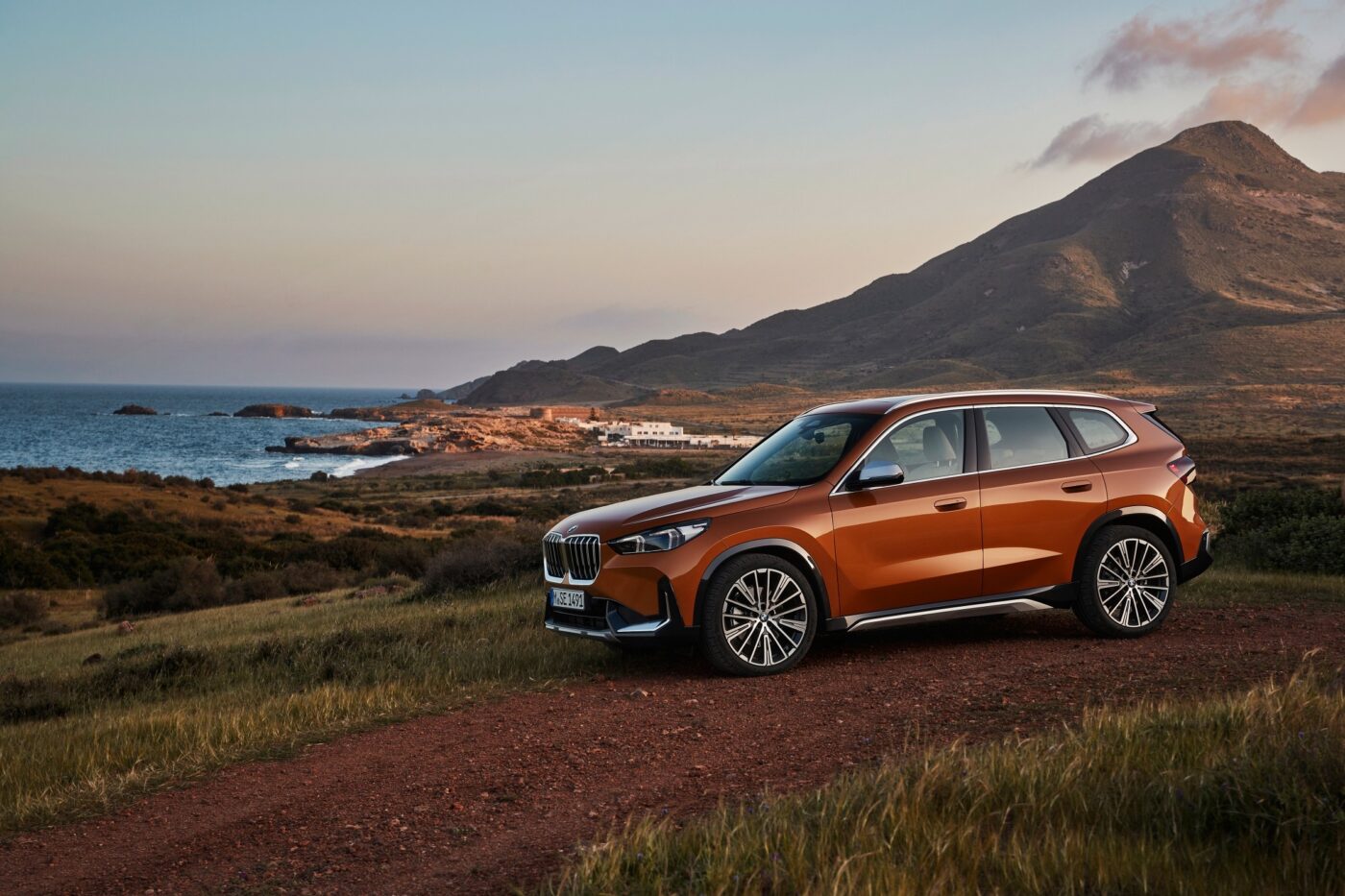 Oranje BMW X1 in een weiland, een voorbeeld van een auto die ideaal is voor ondernemers die kiezen voor financial lease boven private lease.